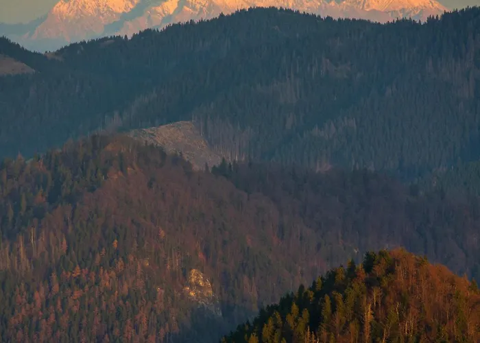 別荘 Pri Kastieli Private Mountain Nature Retreat Necpaly